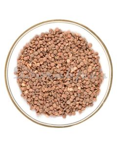 DORABJEES DCVEG SPROUTED MASOOR