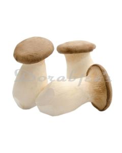 DORABJEES KING OYSTER MUSHROOM