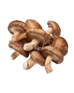 DORABJEES FRESH SHIKATE MUSHROOM