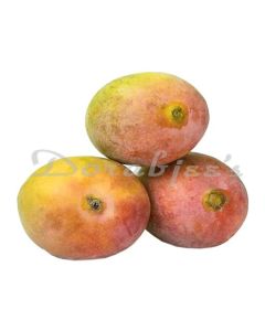 DORABJEES MANGO LALBAUG