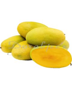 DORABJEES DCFRU MANGO DASHERI