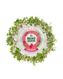 LITTLE LEAFY MICRO GREENS  PINKRADISH 100G