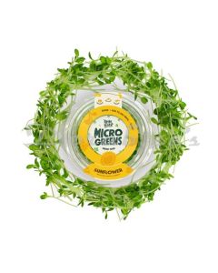 LITTLE LEAFY MICRO GREENS  SUNFLOWER 100G