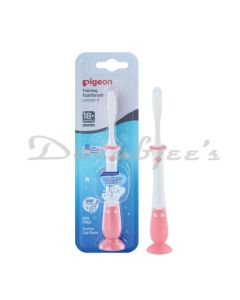 PIGEON  TRAINING LESSON 4 TOOTHBRUSH