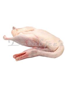 DORABJEES TD FROZEN DUCK RAW
